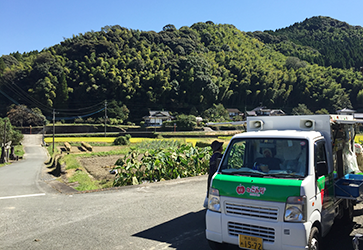 新鮮野菜コーナー